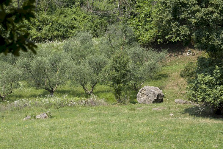 Incontro con la natura