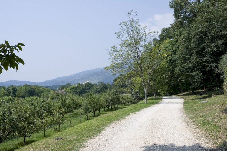 Incontro con la natura