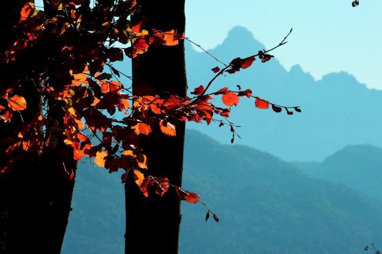 La magia dell’autunno nelle Dolomiti Agordine